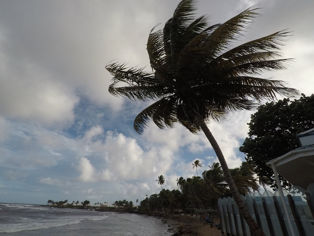 GOPR0011.JPG