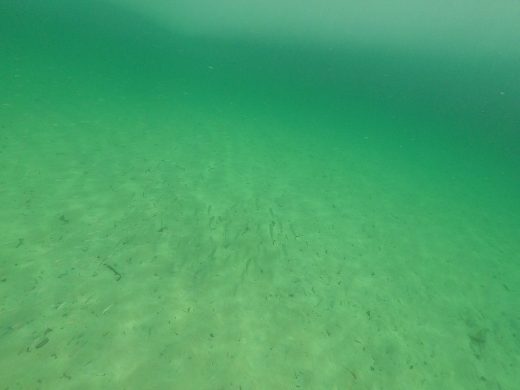 GOPR0087.JPG
