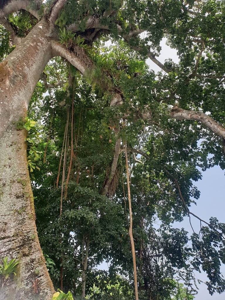 20180920-103826.jpg