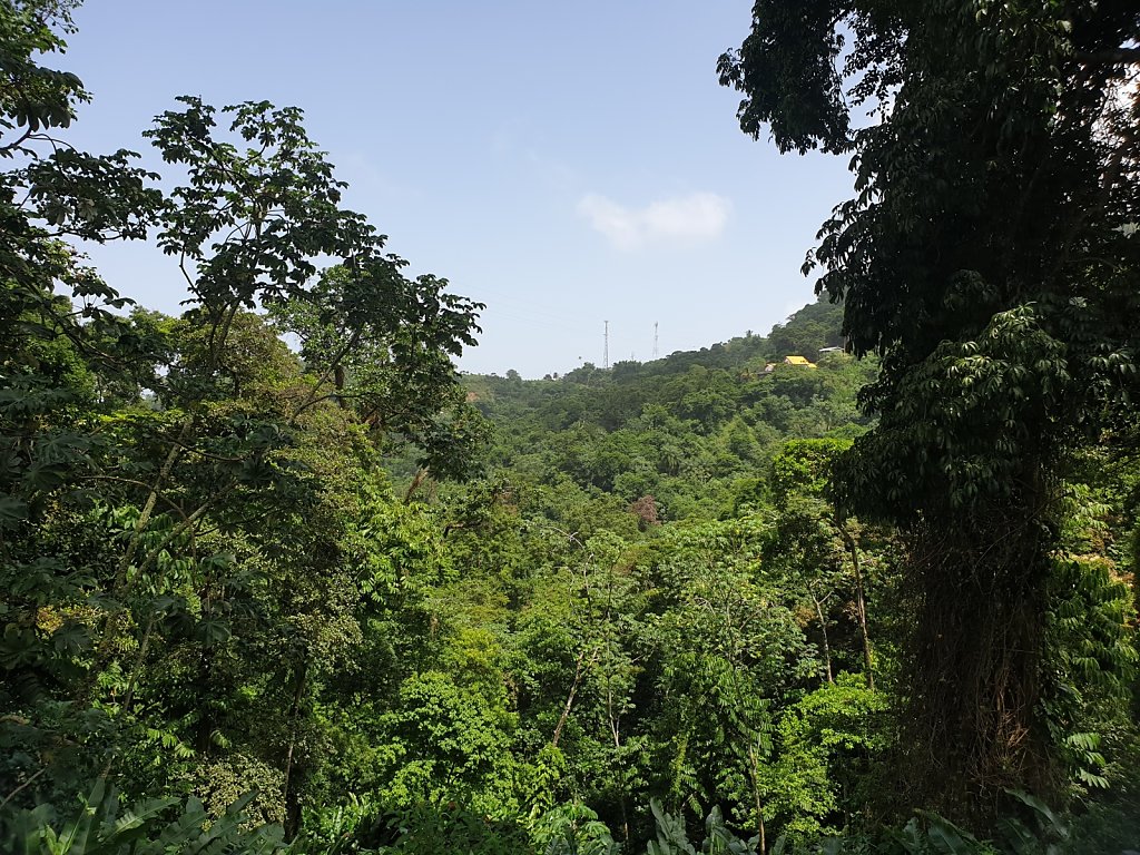 20180920-104214.jpg