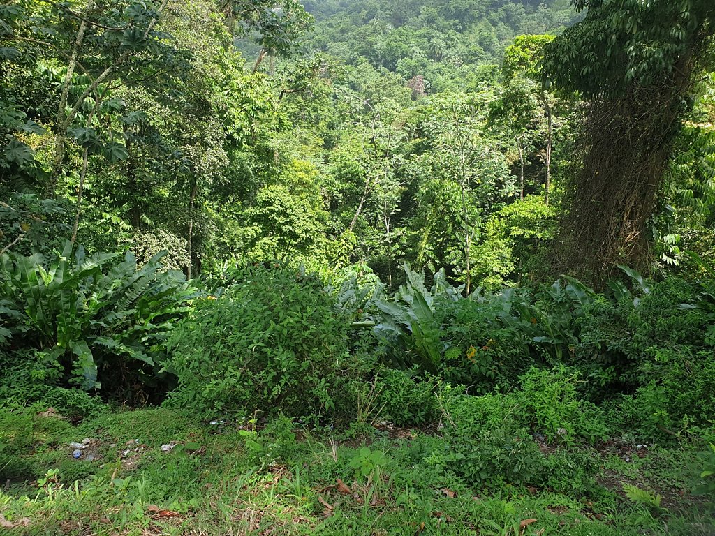 20180920-104229.jpg