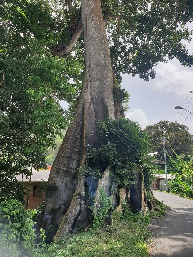 20180920-104236.jpg