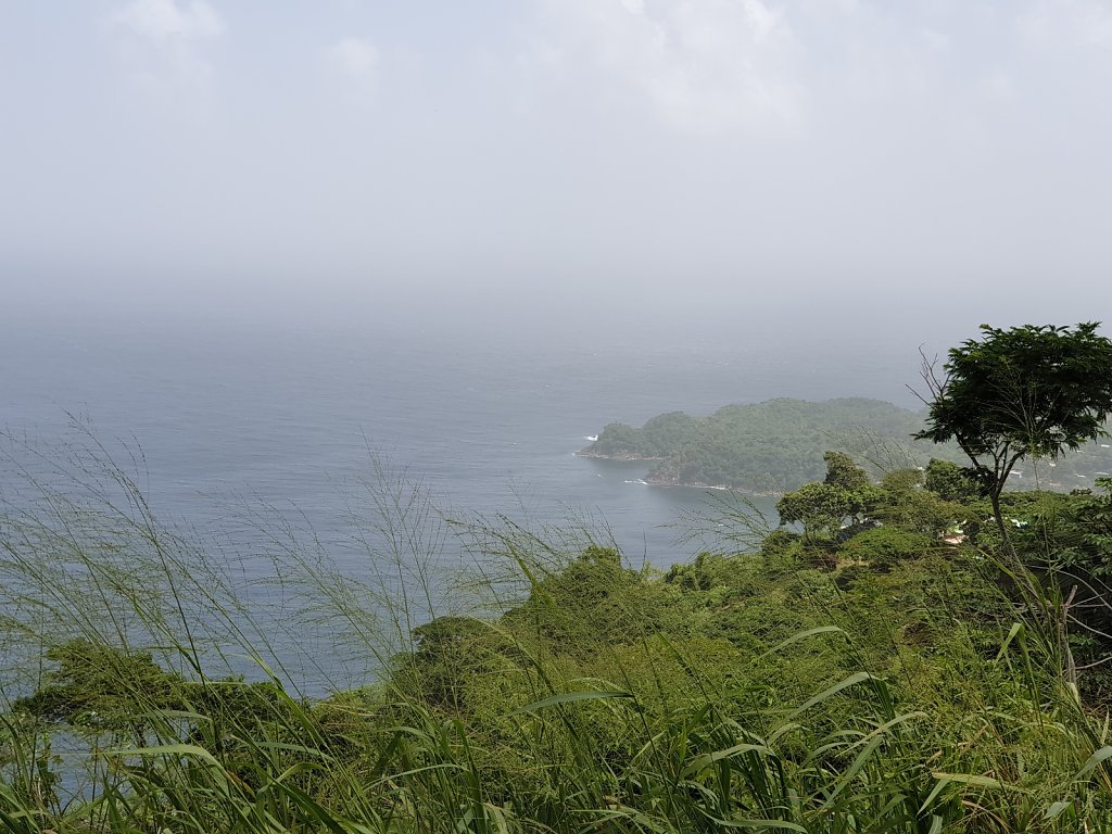 20180920-105304.jpg