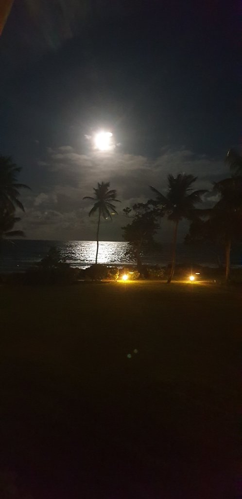 20180924-190019.jpg