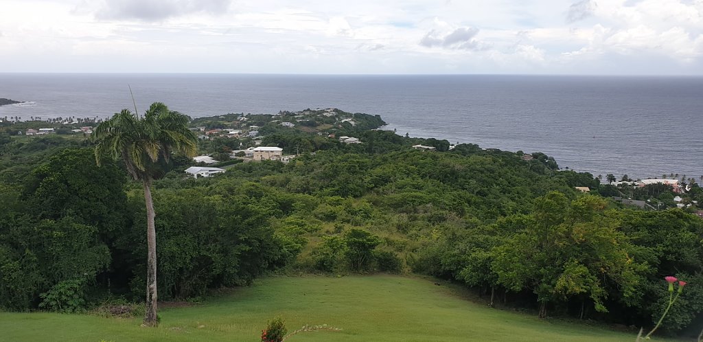 20180925-115249.jpg