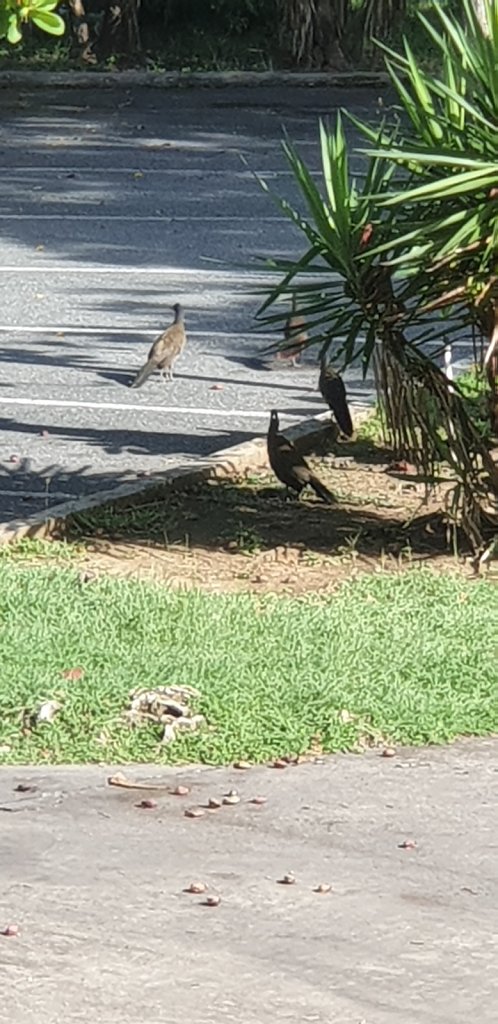 20181001-080145.jpg