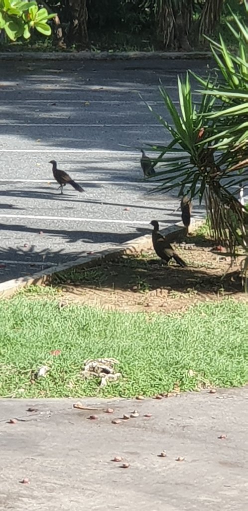 20181001-080150.jpg