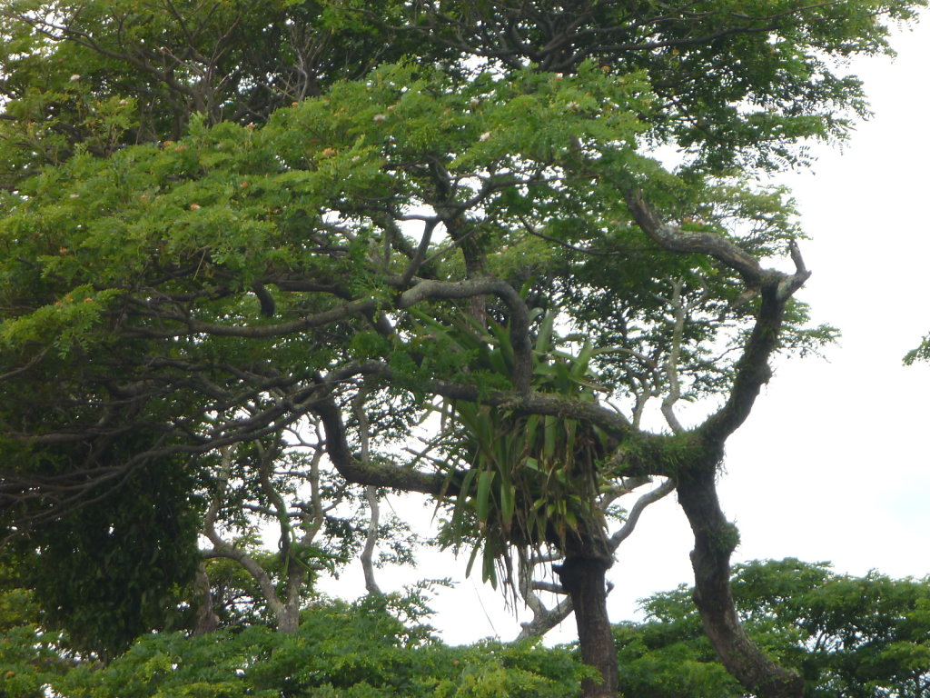 P1020542.JPG