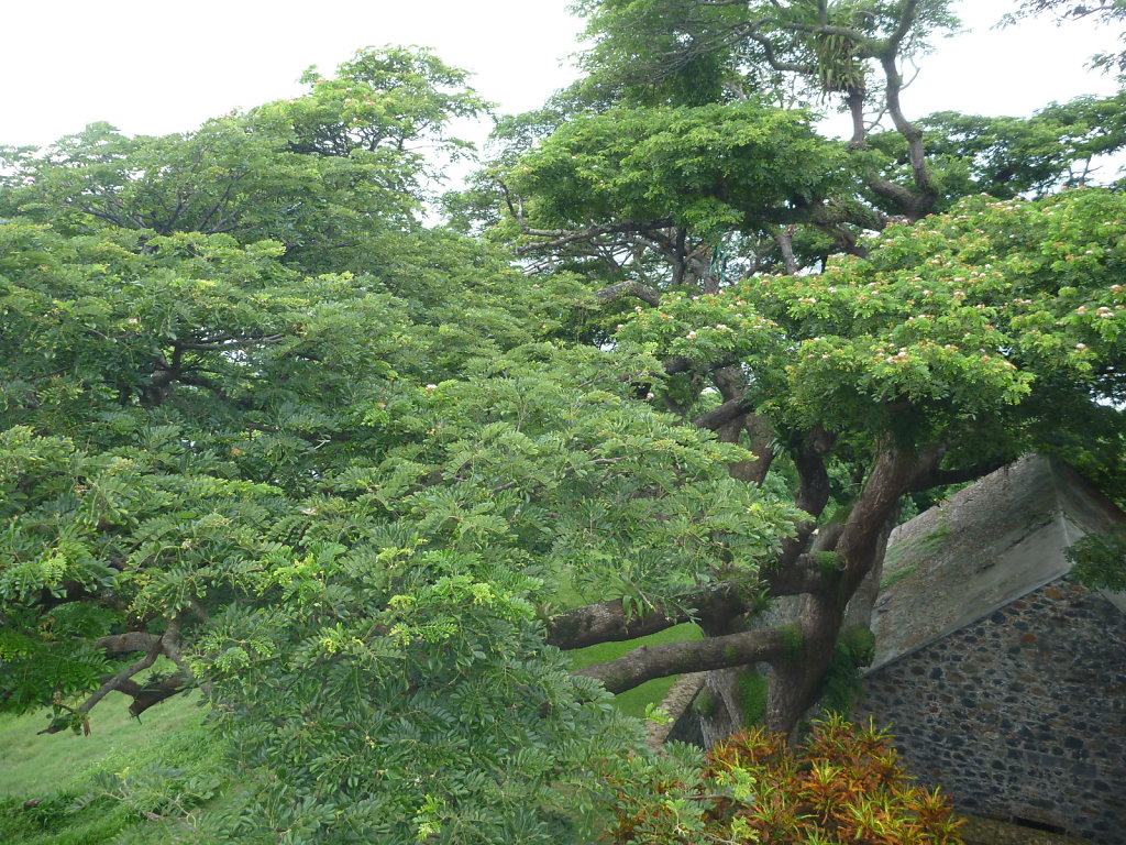 P1020539.JPG