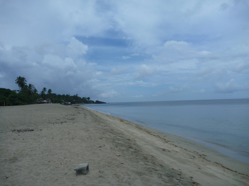 P1020511.JPG