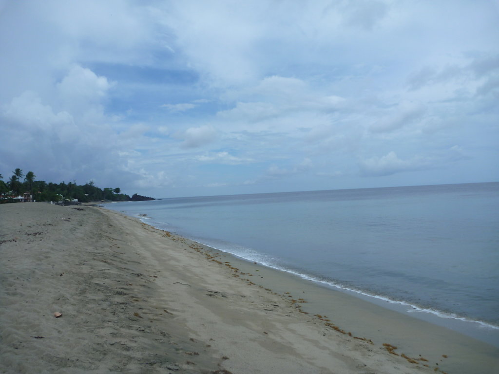 P1020509.JPG