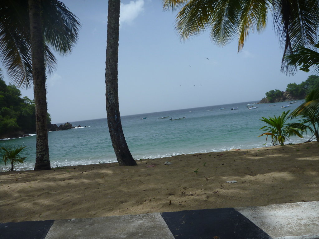 P1020506.JPG
