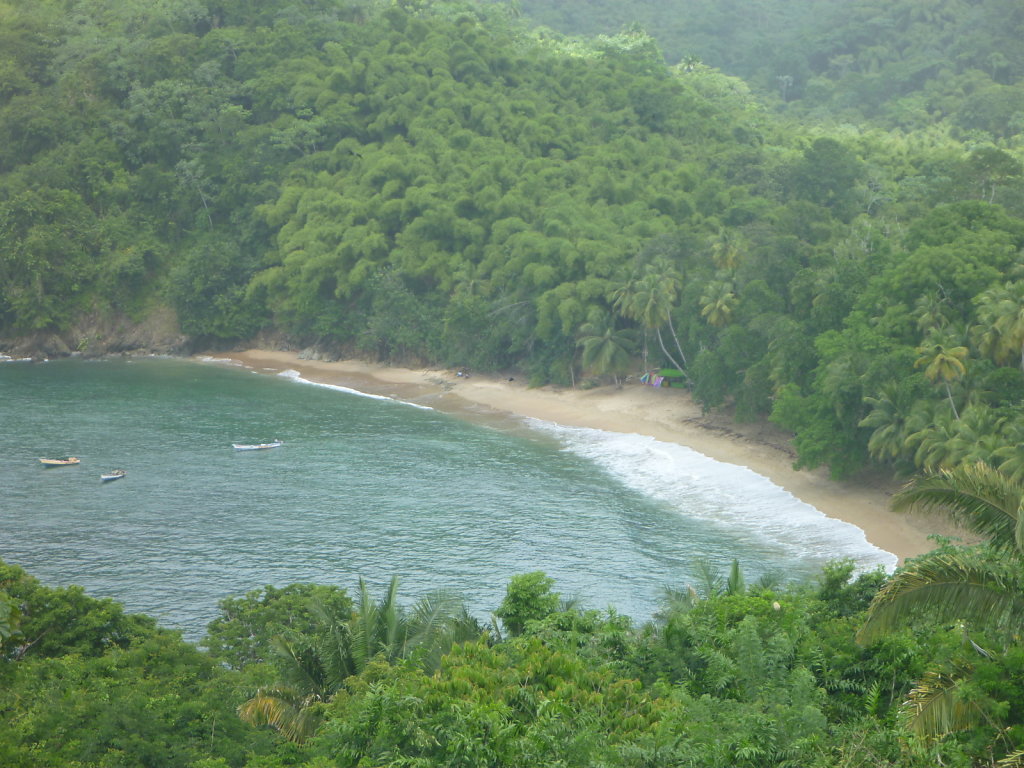 P1020491.JPG