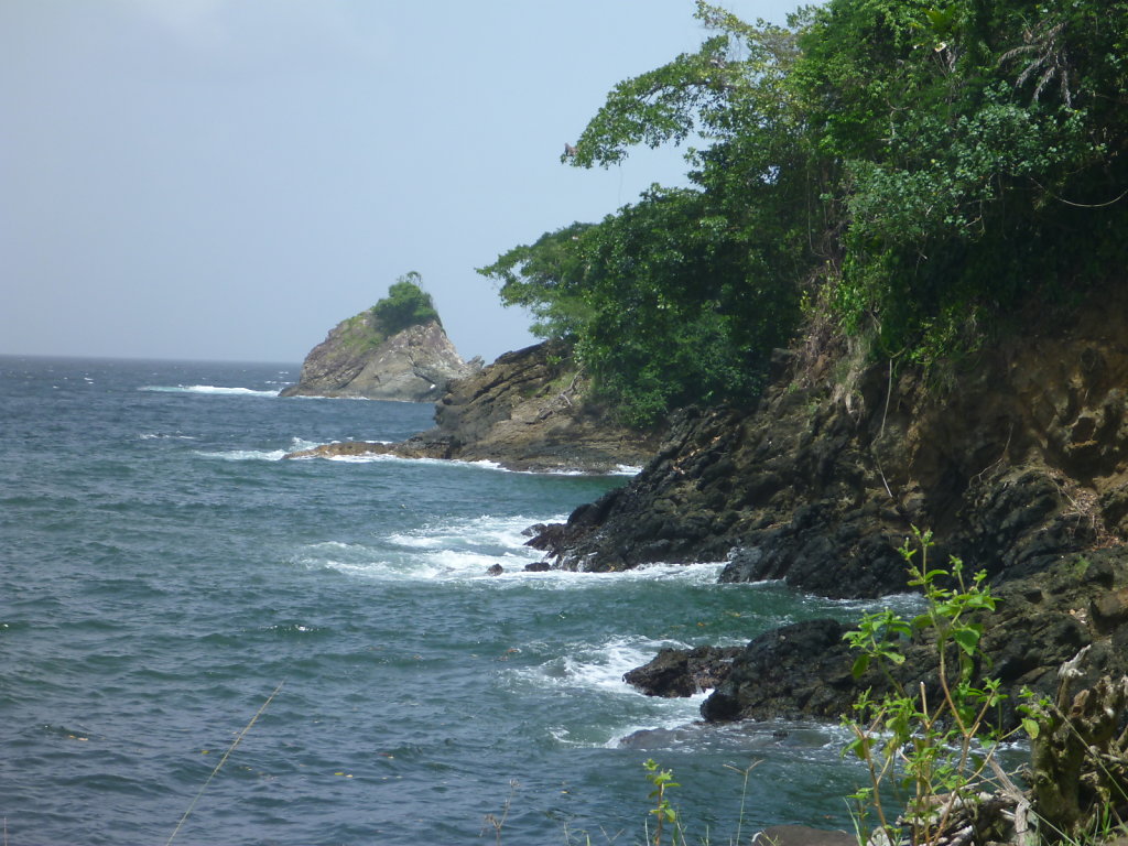 P1020487.JPG
