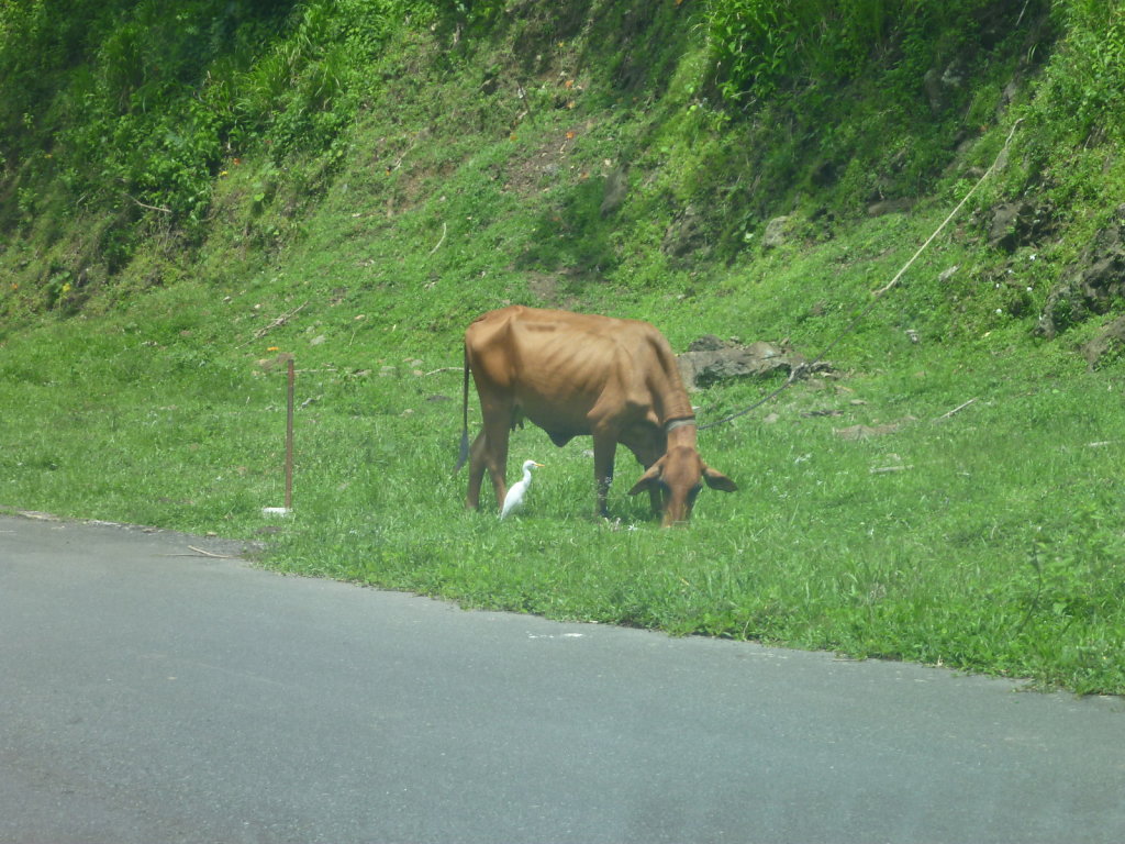 P1020476.JPG