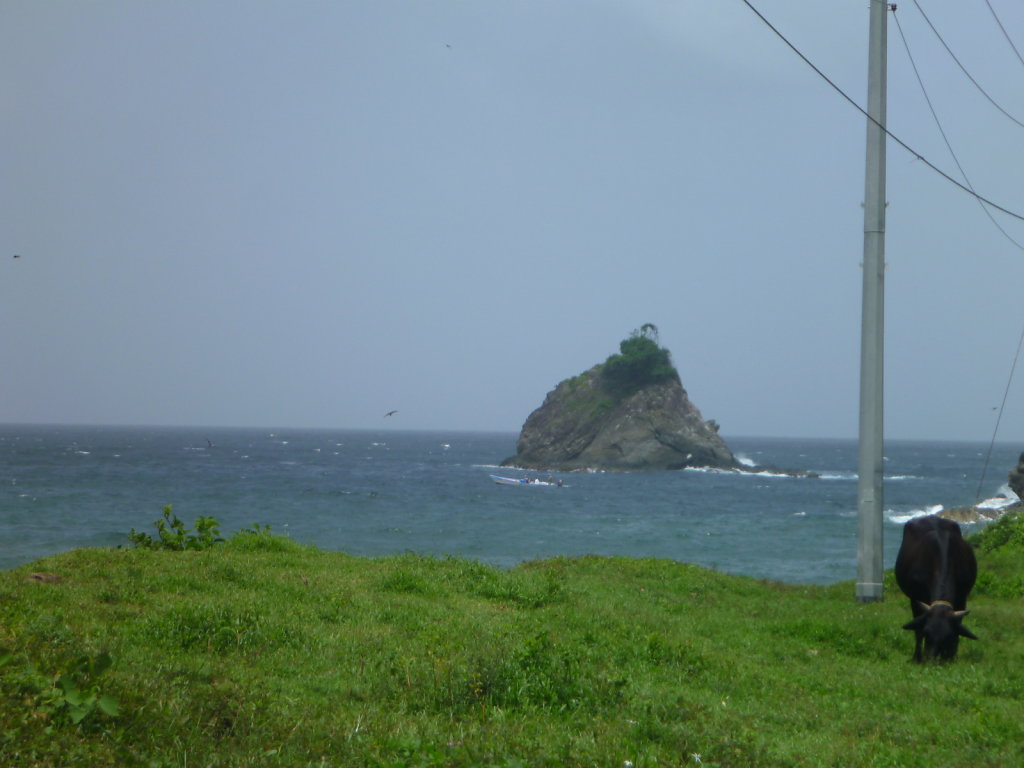 P1020473.JPG