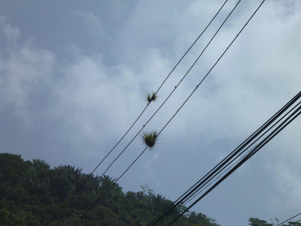 P1020452.JPG