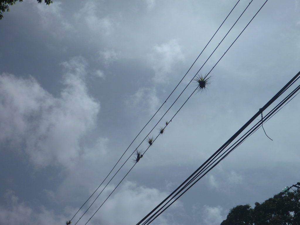 P1020450.JPG