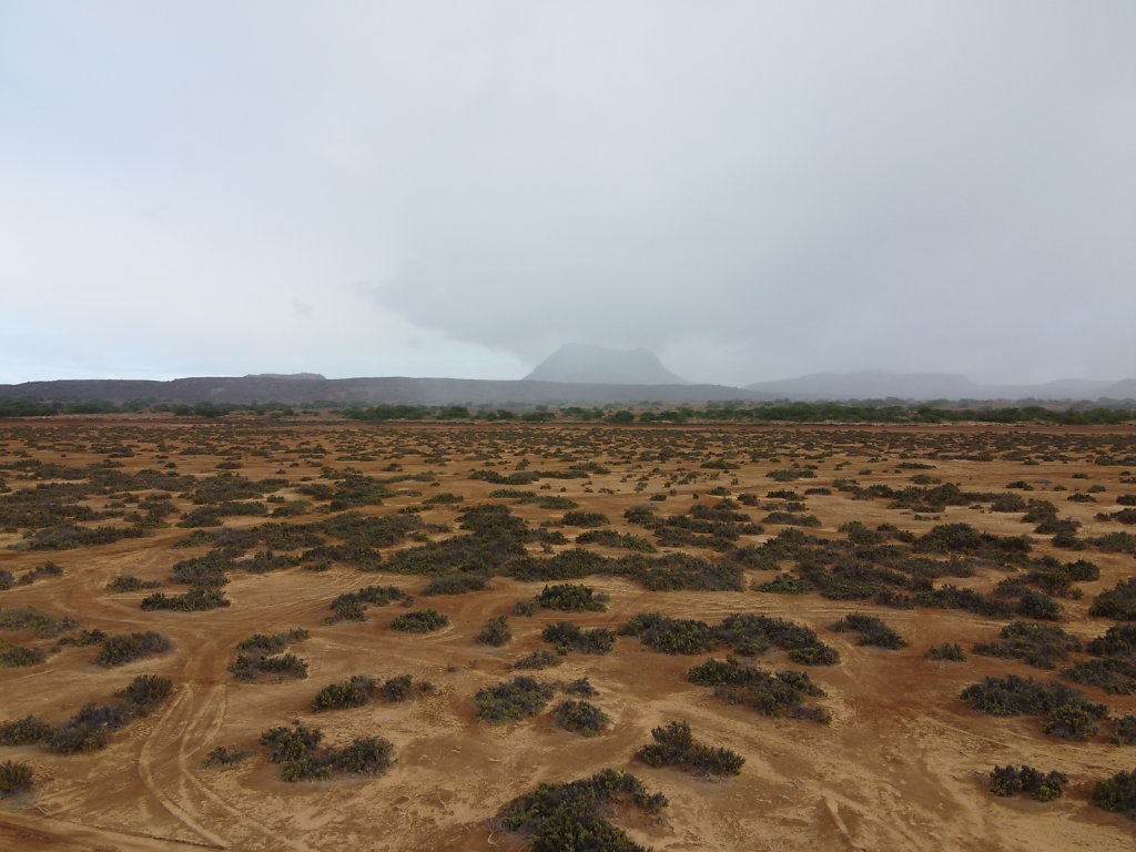 DJI-0011.JPG