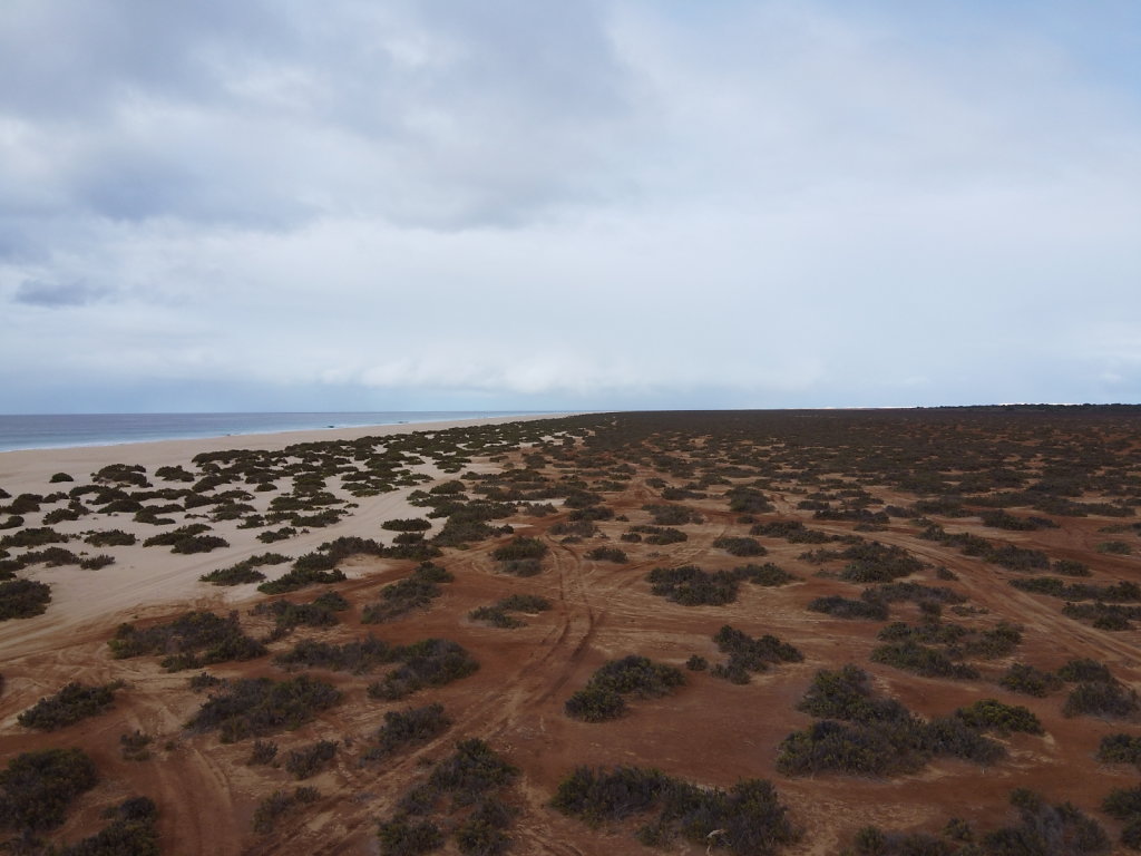 DJI-0013.JPG