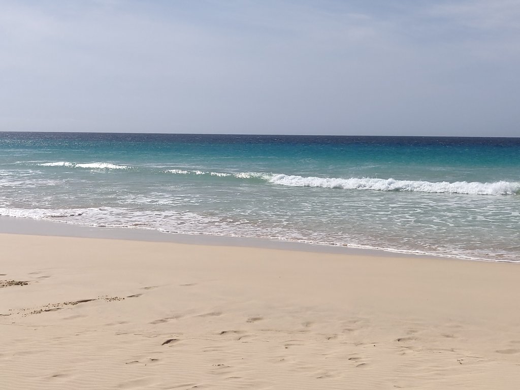 IMG-20191204-110249.jpg