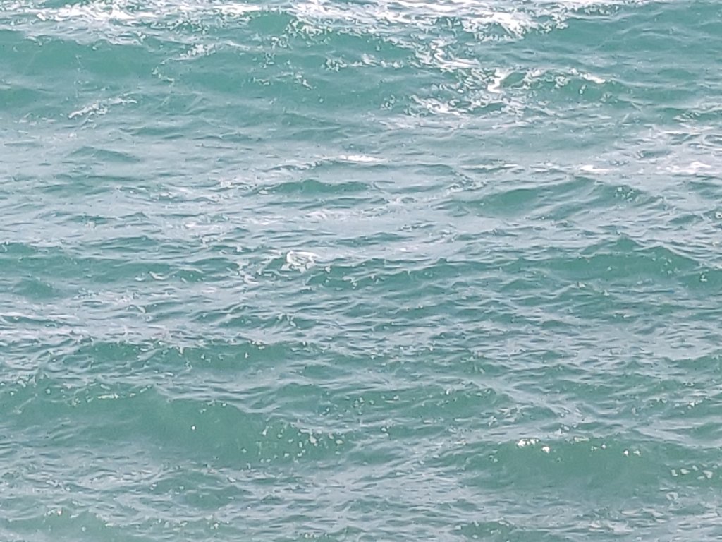 IMG-20191204-120433.jpg