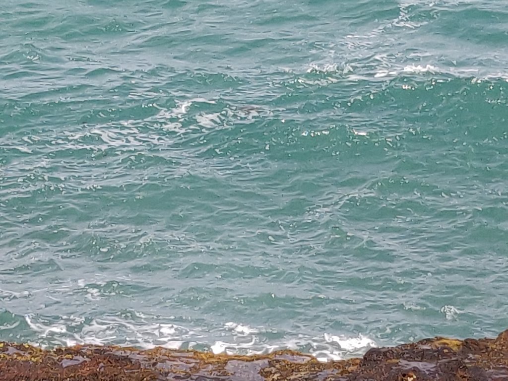 IMG-20191204-120437.jpg