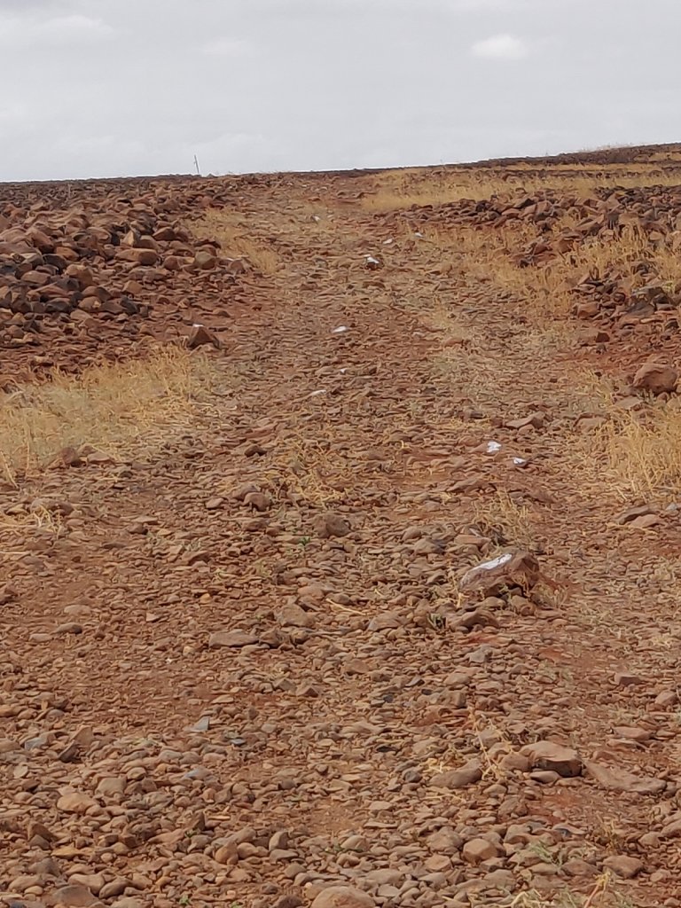 IMG-20191206-152343.jpg