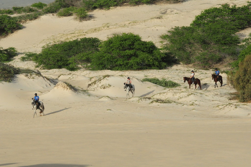 Local Panoramic Shots